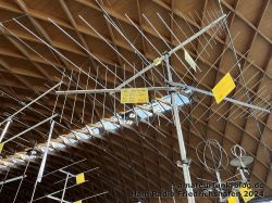 IMG_2440_01