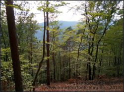 IMG_20160831_181733028_01